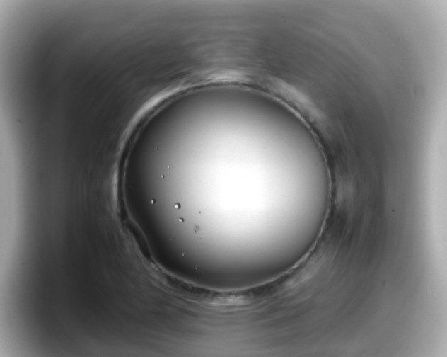 X0000098101174200804111017