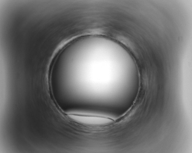 X0000098101176200804111017