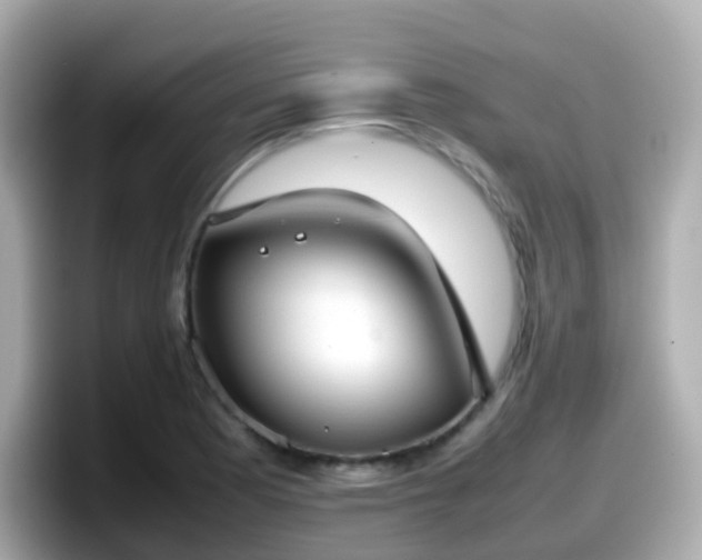 X0000098101177200804111017