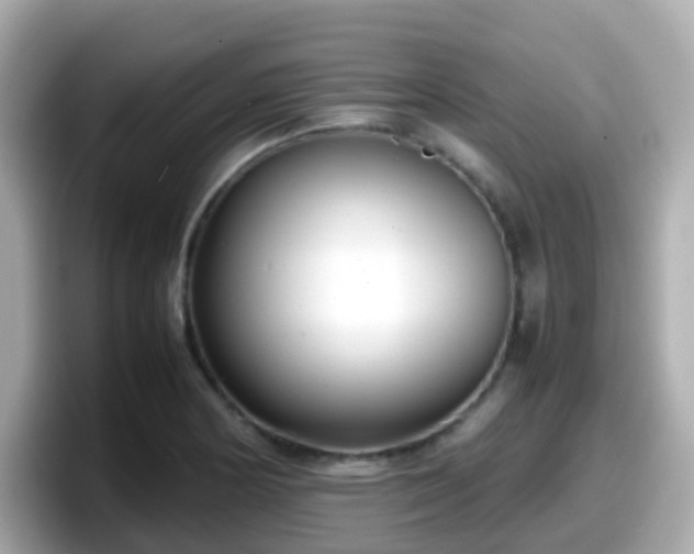 X0000098101178200804111017
