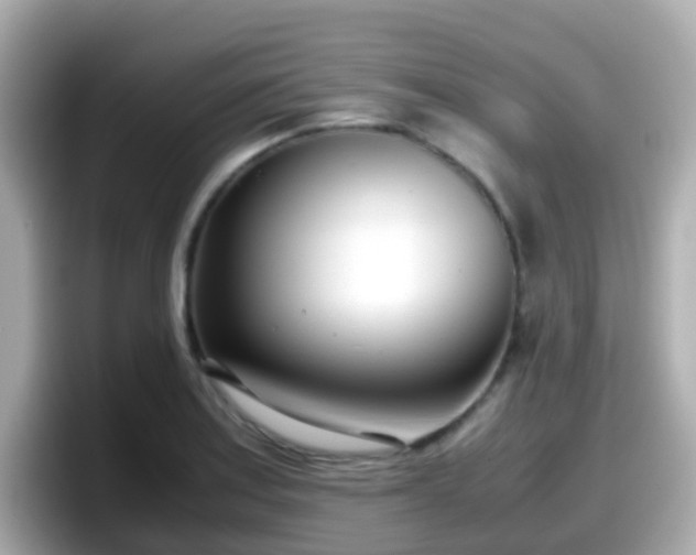 X0000098101179200804111017