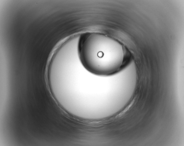 X0000098101180200804111017