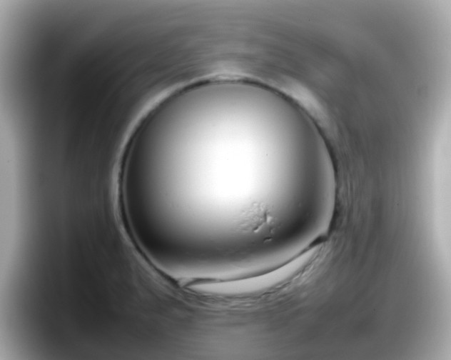 X0000098101183200804111016