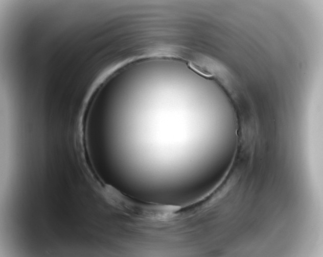 X0000098101184200804111016