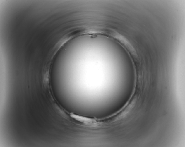 X0000098101185200804111016