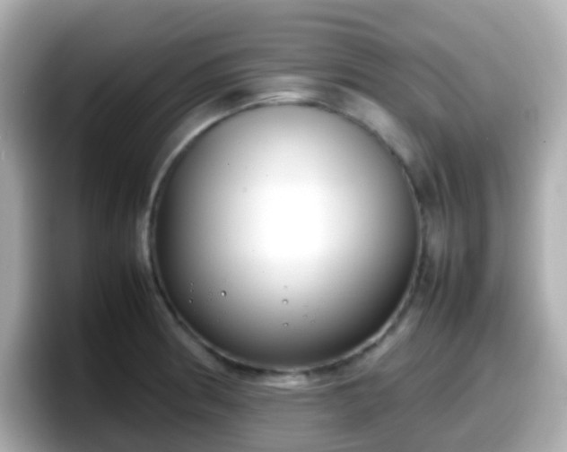 X0000098101186200804111016