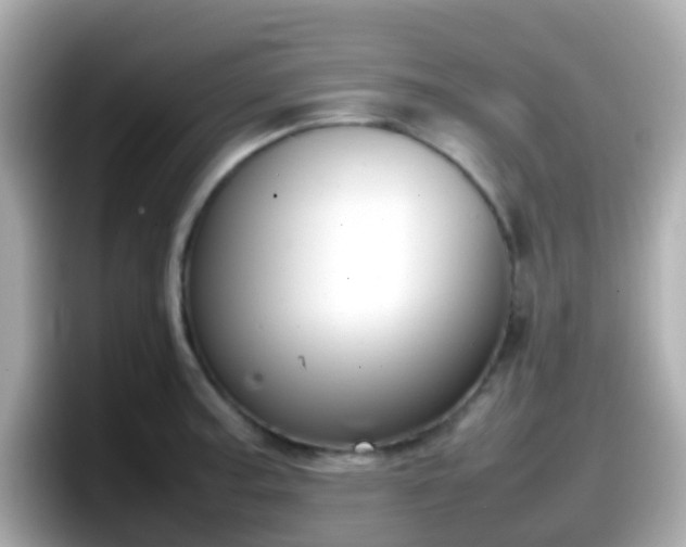 X0000098101187200804111016