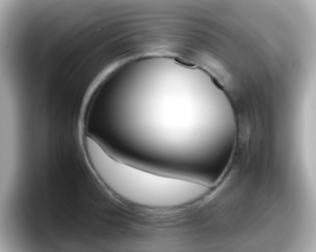 X0000098101188200804111016