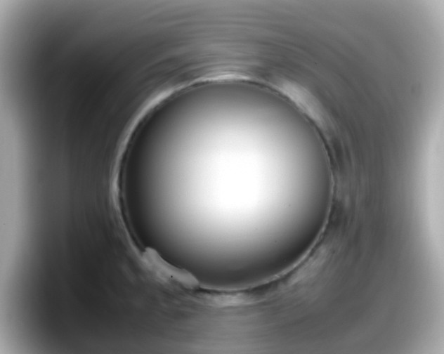 X0000098101189200804111016