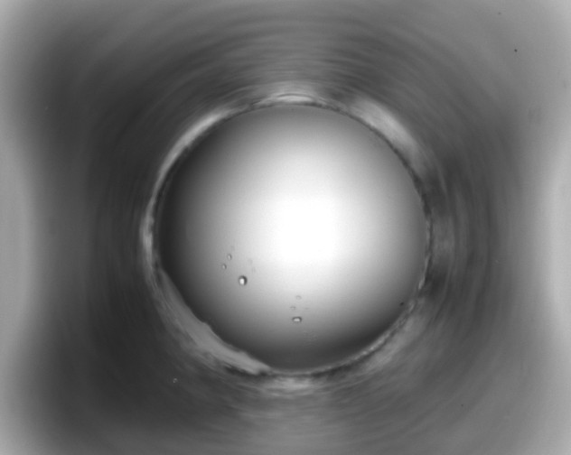 X0000098101190200804111016