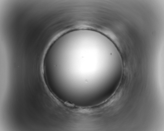 X0000098101191200804111016