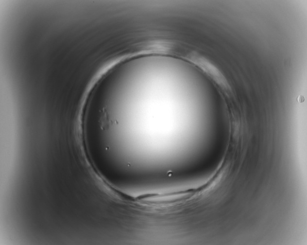 X0000098101192200804111016