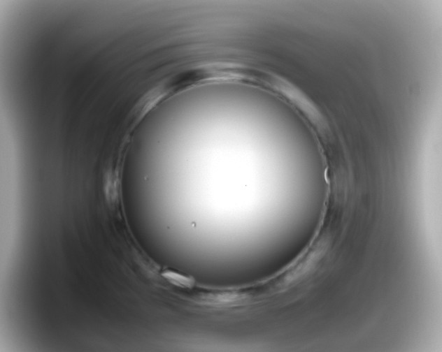 X0000098101193200804111016
