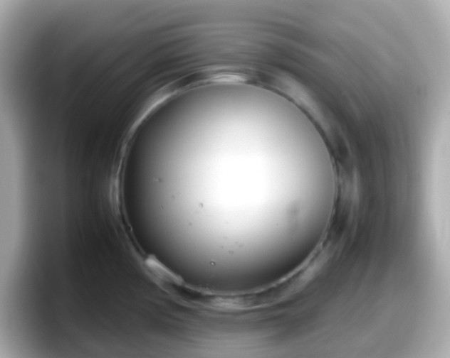 X0000098101194200804111016