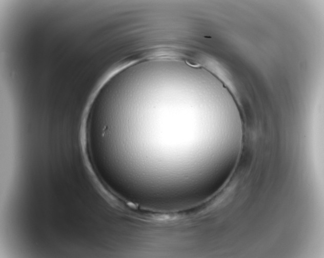 X0000098101195200804111016