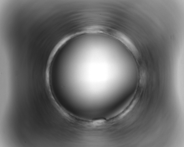 X0000098101196200804111016
