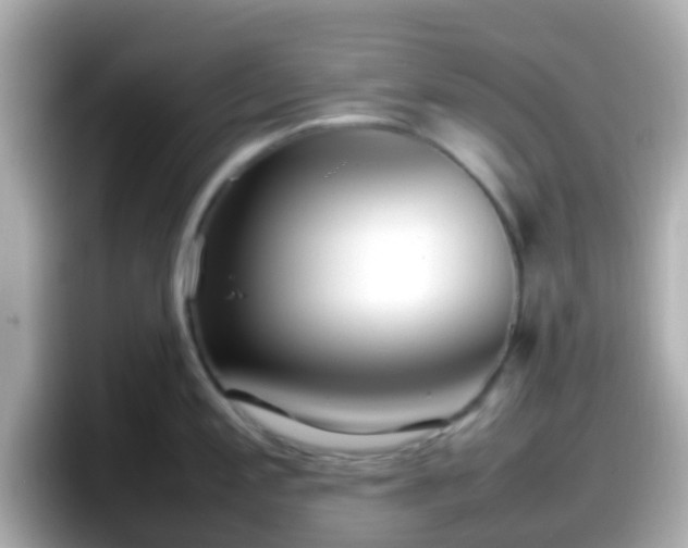 X0000098101197200804111016