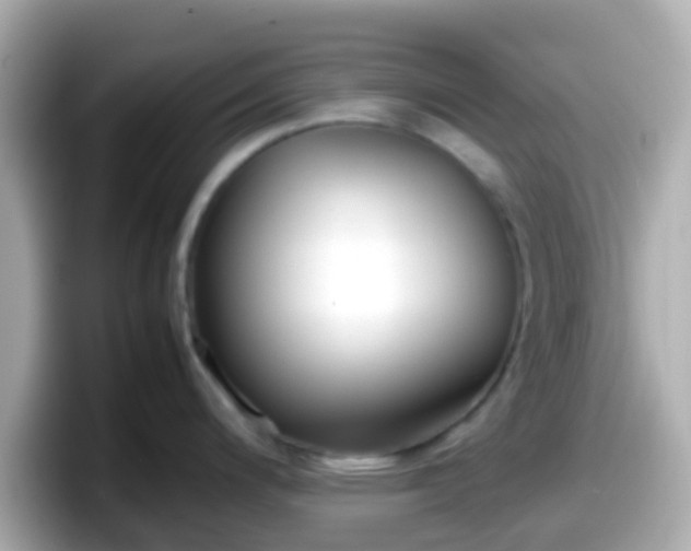 X0000098101200200804111016