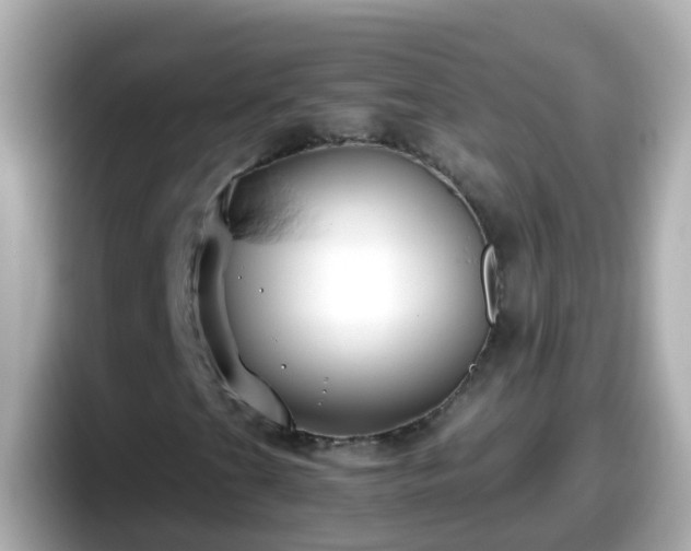 X0000098101201200804111016