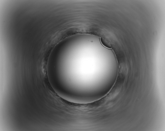 X0000098101202200804111016