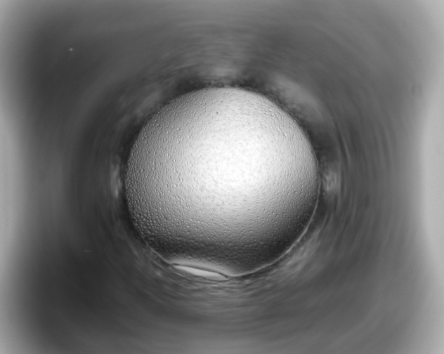 X0000098101204200804111016