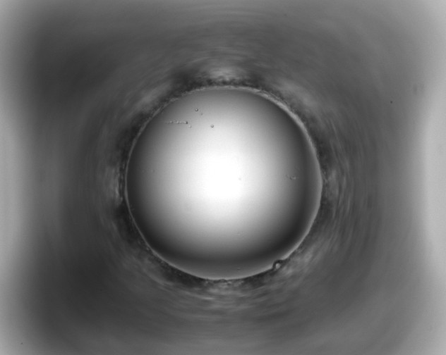 X0000098101205200804111016