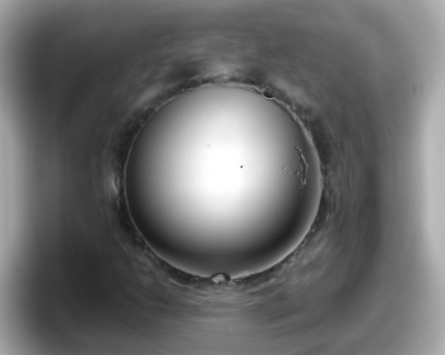 X0000098101206200804111016