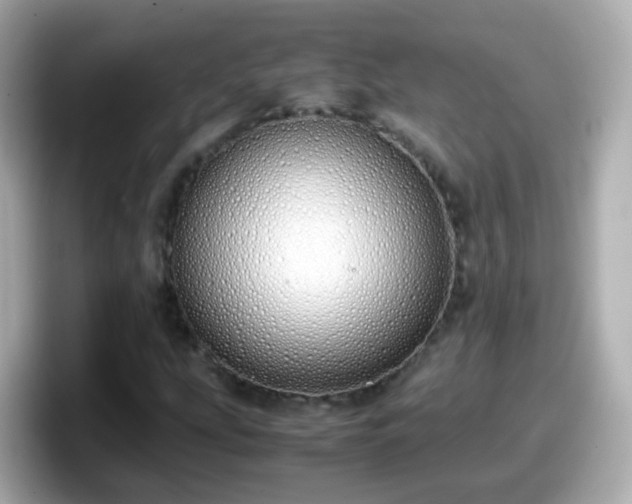 X0000098101207200804111016