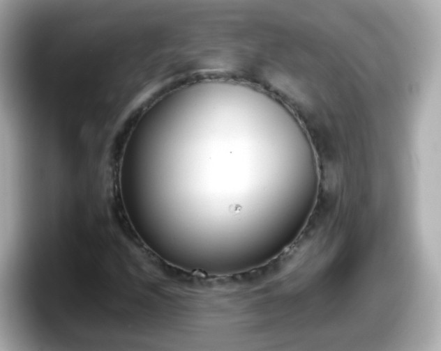 X0000098101208200804111016