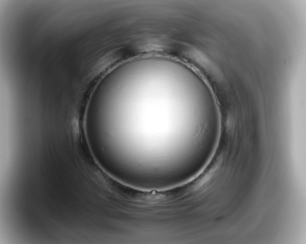 X0000098101209200804111016