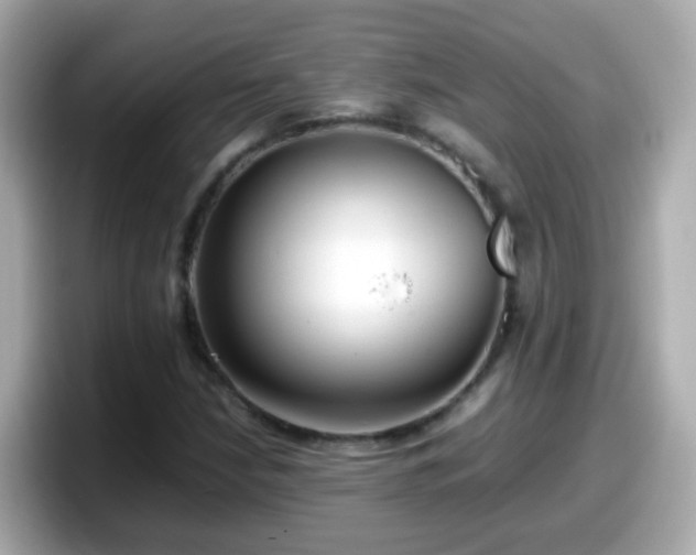 X0000098101210200804111016