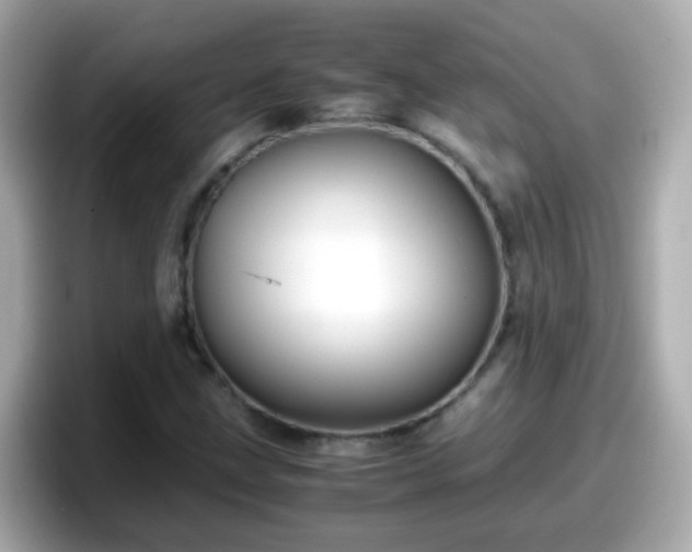 X0000098101211200804111016