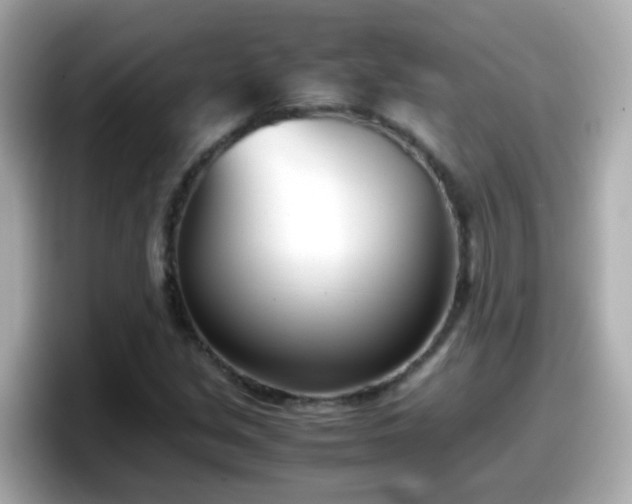 X0000098101213200804111016