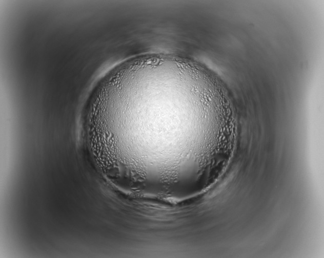 X0000098101215200804111016