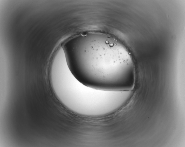 X0000098101218200804111016