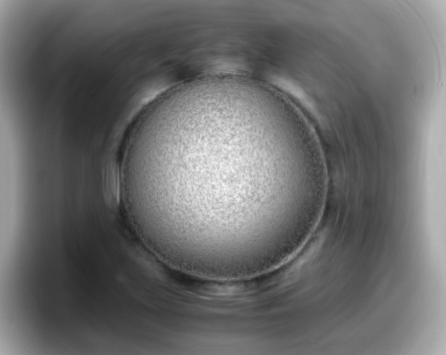 X0000098101219200804111016