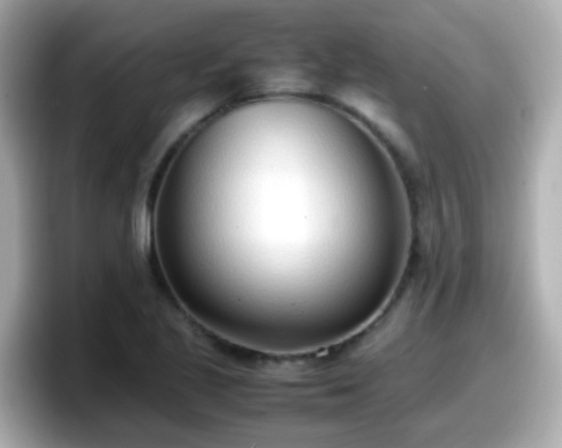 X0000098101221200804111016