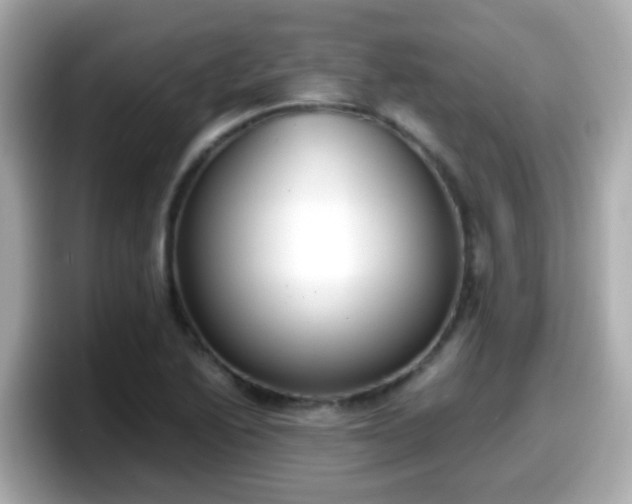X0000098101222200804111016