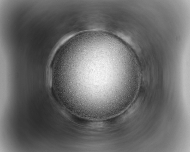 X0000098101223200804111016