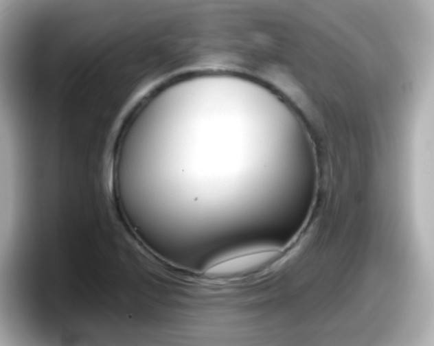 X0000098101224200804111016