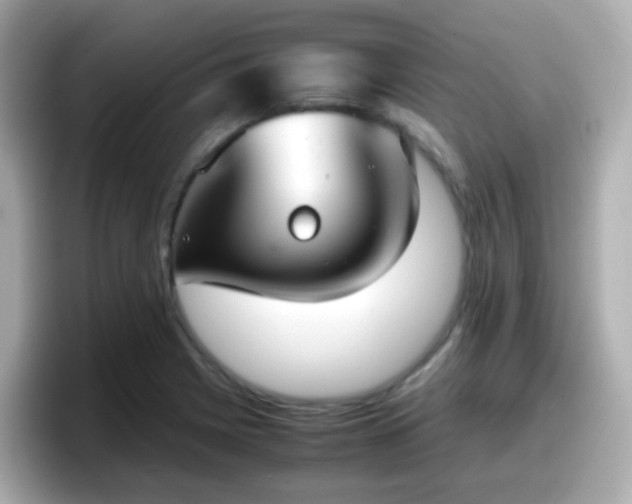 X0000098101225200804111016