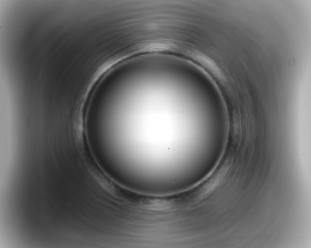 X0000098101226200804111016