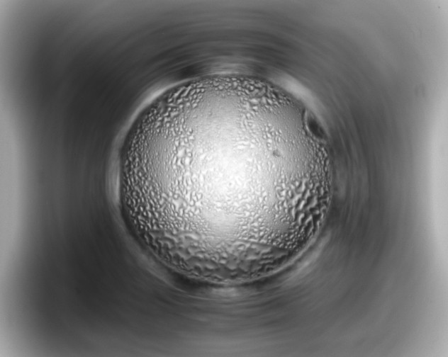 X0000098101227200804111016