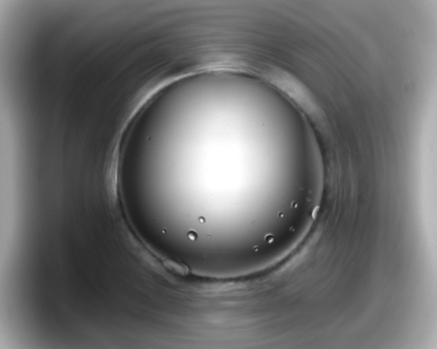 X0000098101228200804111016