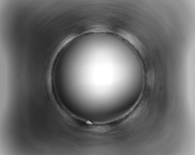 X0000098101229200804111016