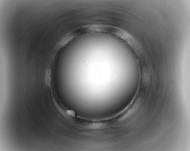 X0000098101233200804111016