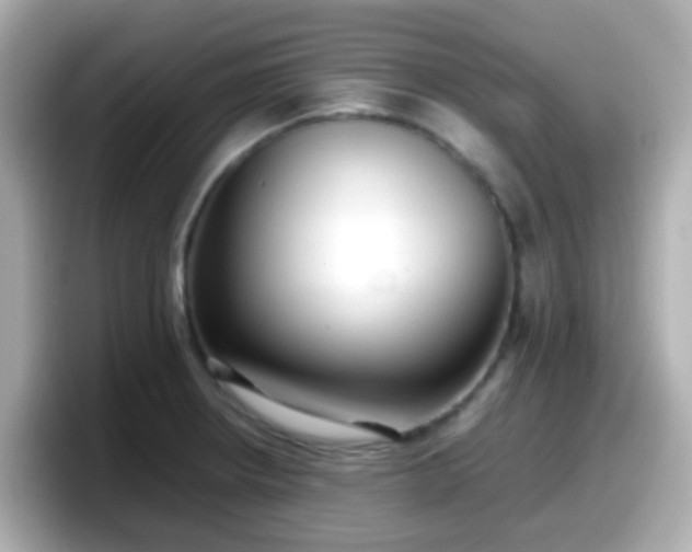 X0000098101234200804111016