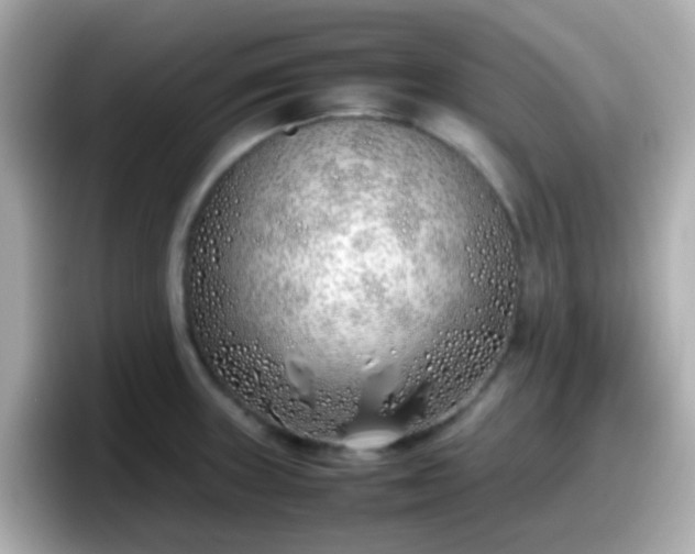 X0000098101235200804111016