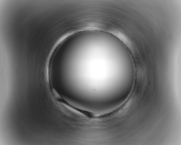 X0000098101238200804111016