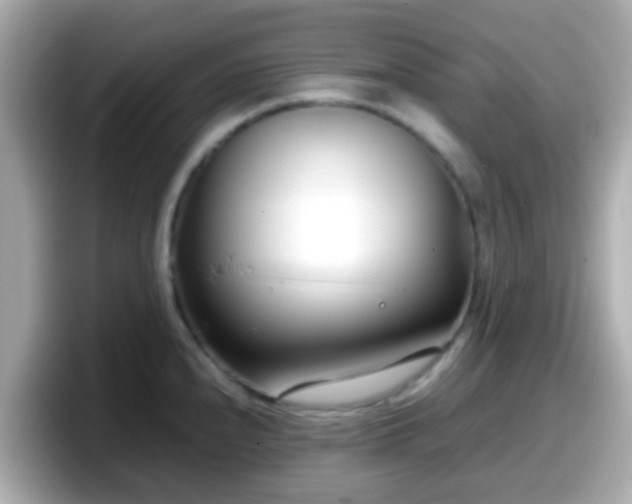 X0000098101240200804111016